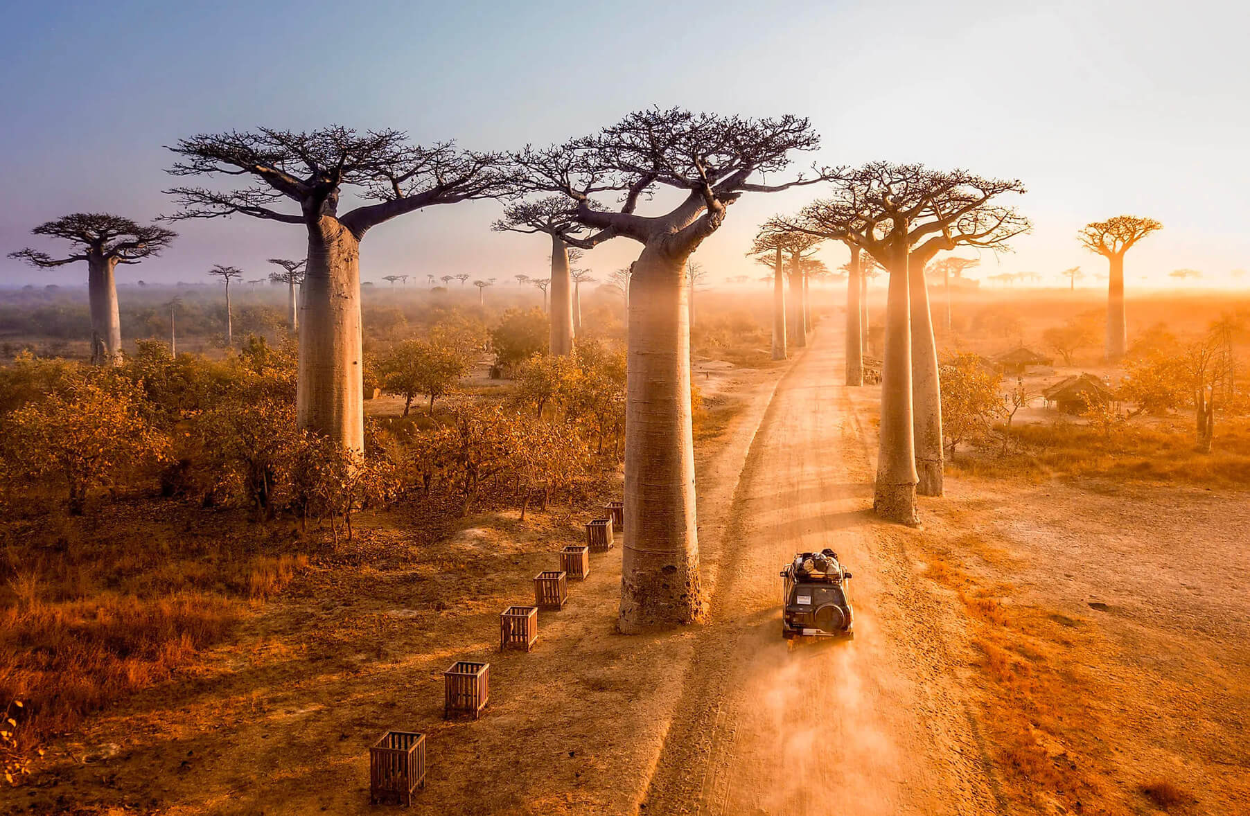 Tsingy de Bemaraha Madagascar